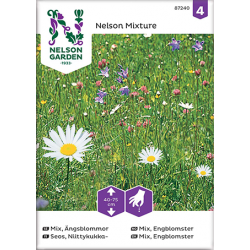Mix ängsblommor