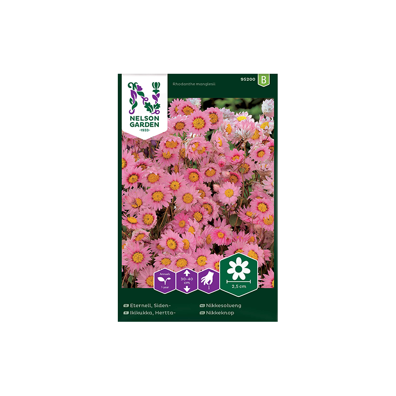 Sideneternell rosa Sideneternell rosa