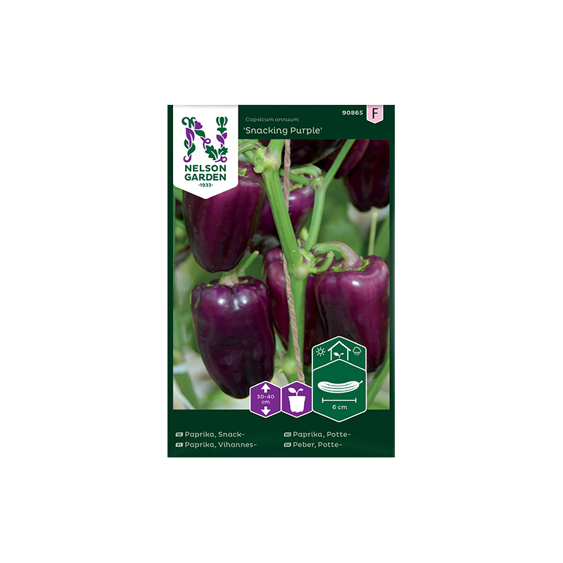 Snackpaprika lila Snacking purple Snackpaprika lila Snacking purple