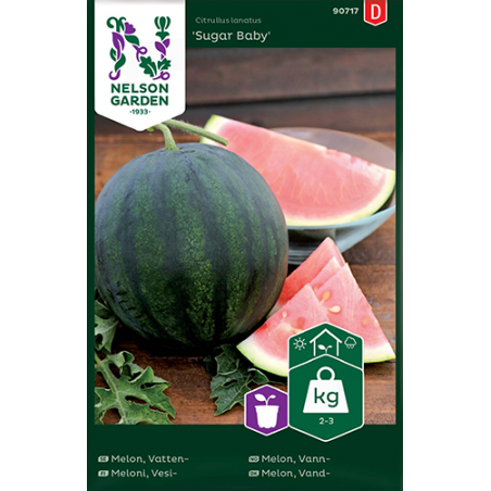 Vattenmelon sugar baby Vattenmelon sugar baby