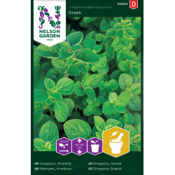 Grekisk Oregano